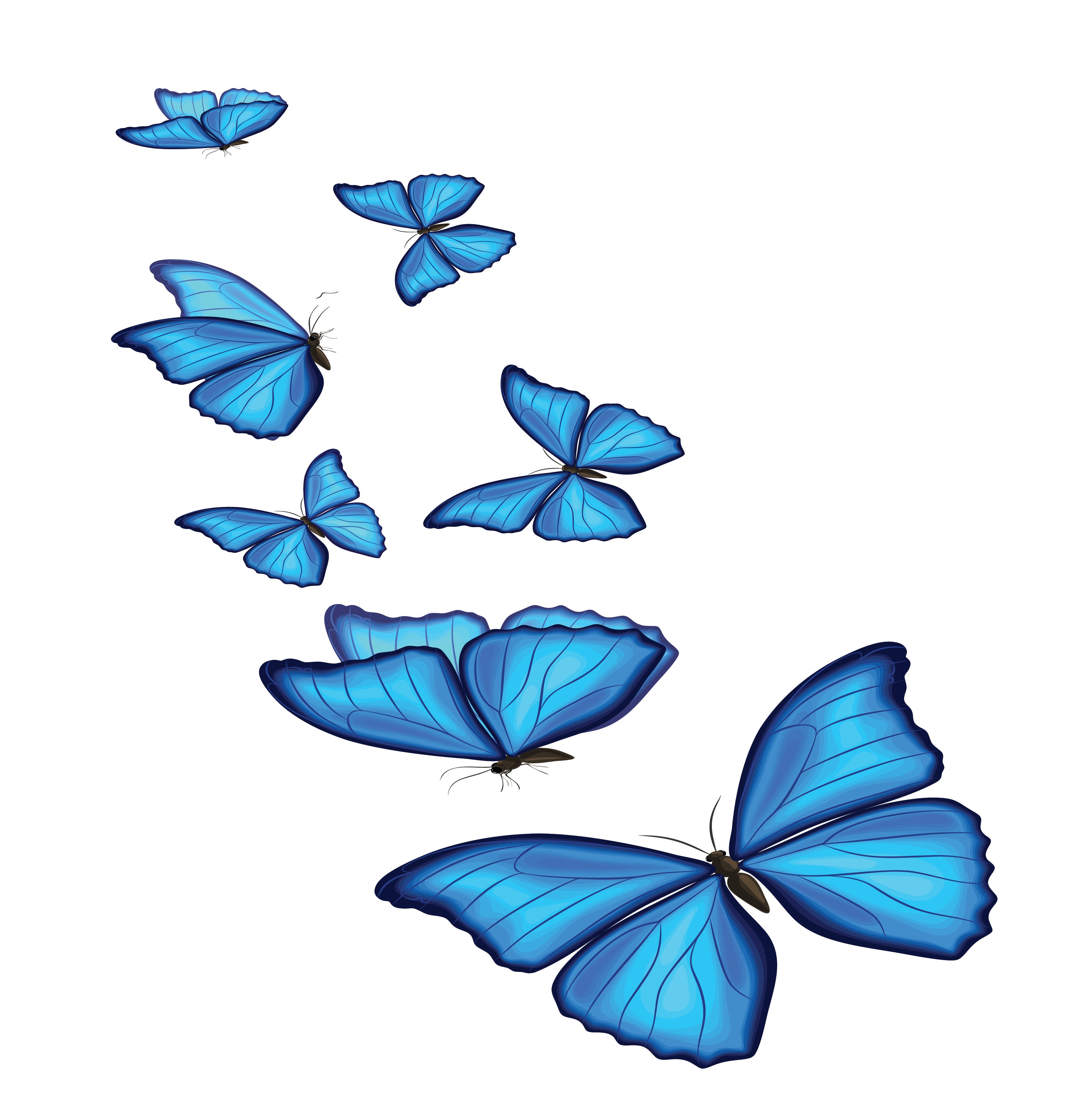 TRAY (BUTTERFLIES)