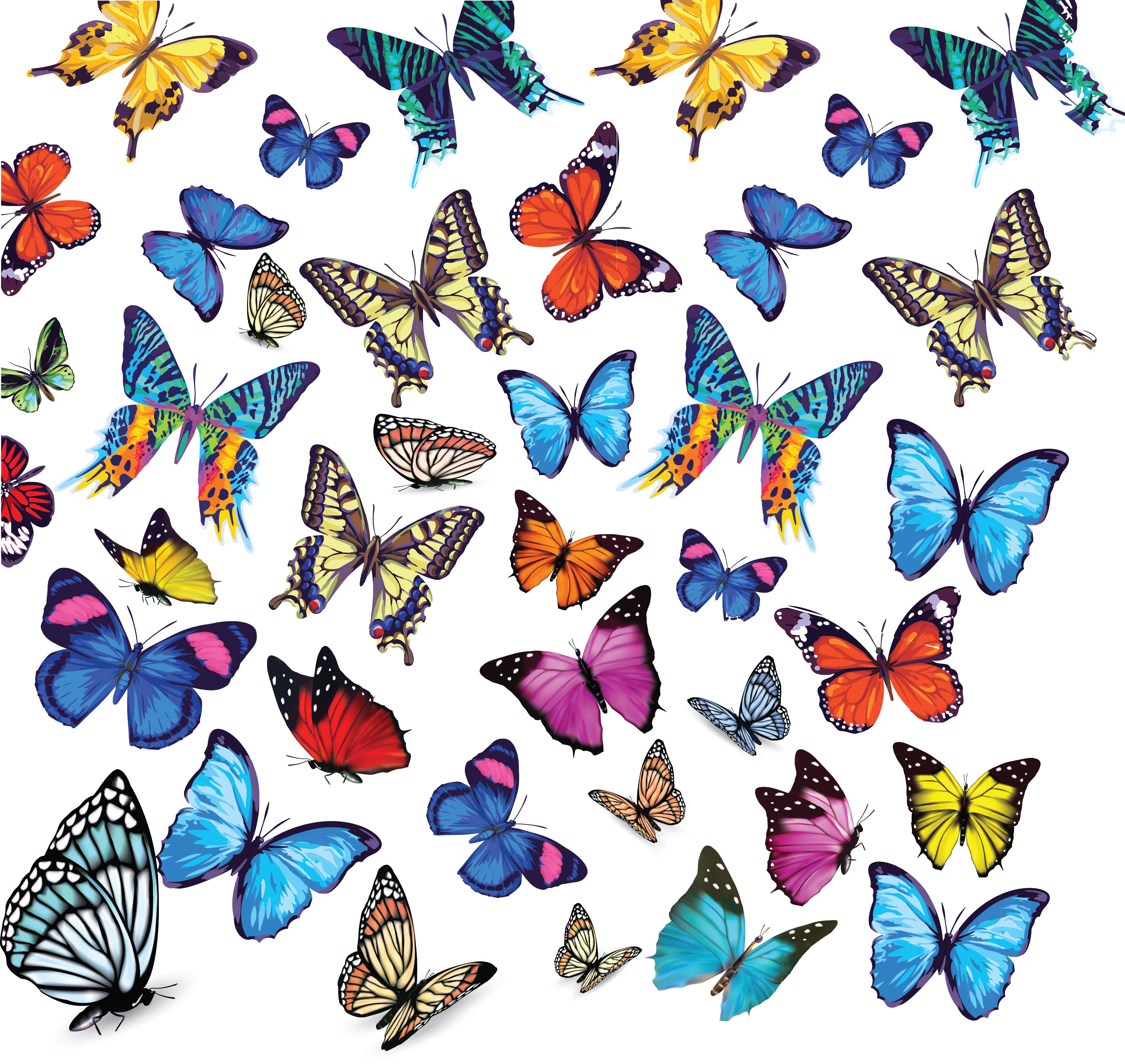 TRAY (BUTTERFLIES)