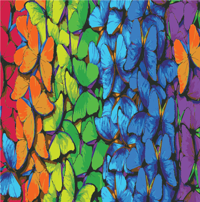 RAINBOW BUTTERFLIES